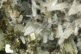 Striated Pyrite and Quartz on Sphalerite - Peru #287610-1